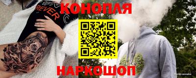 сатива Анапа