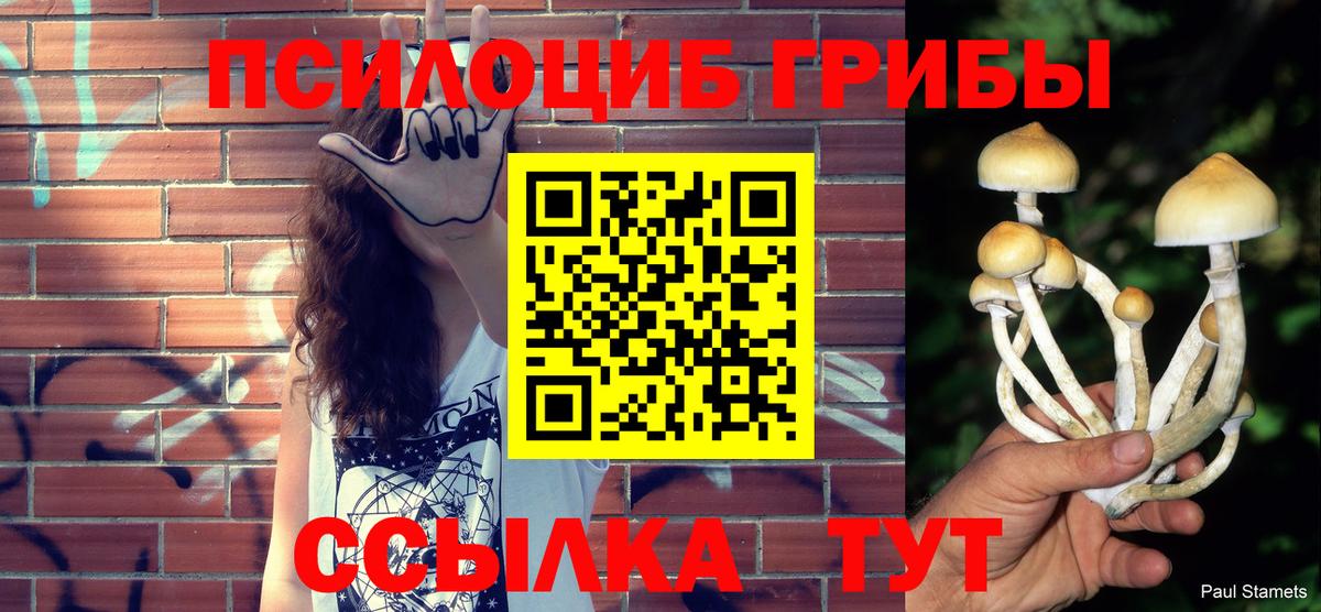 Псилоцибиновые грибы GOLDEN TEACHER Александров